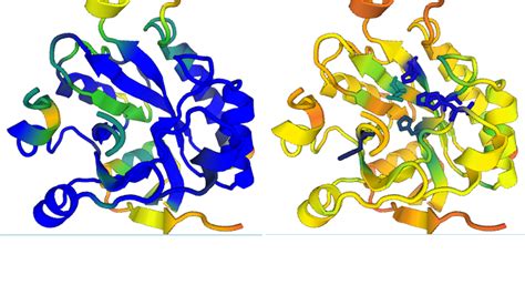 dali protein structure comparison server